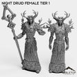 Tabletop Terrain Miniature Full Set Night Druid Female Tier 1