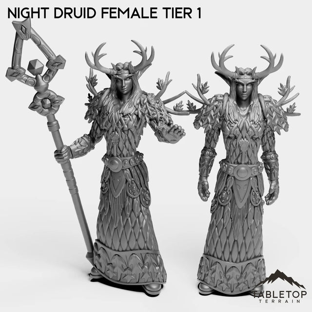 Tabletop Terrain Miniature Full Set Night Druid Female Tier 1
