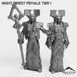 Tabletop Terrain Miniature Full Set Night Priest Female Tier 1