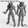 Tabletop Terrain Miniature Full Set Night Rogue Female Tier 1