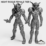 Tabletop Terrain Miniature Full Set Night Rogue Female Tier 1