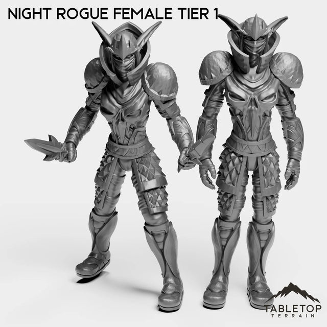 Tabletop Terrain Miniature Full Set Night Rogue Female Tier 1