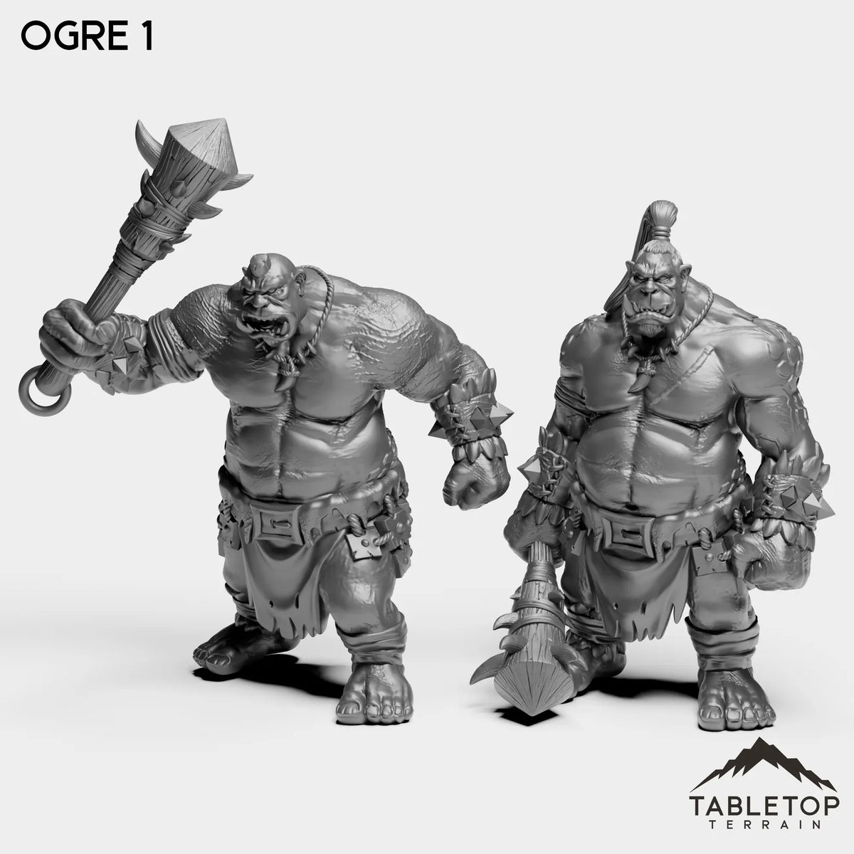 Tabletop Terrain Miniature Full Set Ogre 1