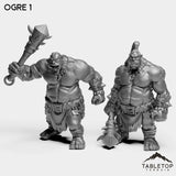 Tabletop Terrain Miniature Full Set Ogre 1