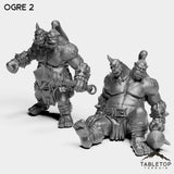 Tabletop Terrain Miniature Full Set Ogre 2