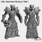 Tabletop Terrain Miniature Full Set Orc Shaman Female Tier 1