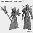 Tabletop Terrain Miniature Full Set Orc Warlock Female Tier 1