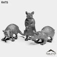 Tabletop Terrain Miniature Full Set Rats