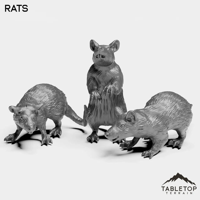 Tabletop Terrain Miniature Full Set Rats