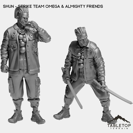 Tabletop Terrain Miniature Full Set Shun - Strike Team Omega & Almighty Friends