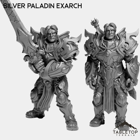 Tabletop Terrain Miniature Full Set Silver Paladin Exarch