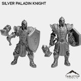 Tabletop Terrain Miniature Full Set Silver Paladin Knight