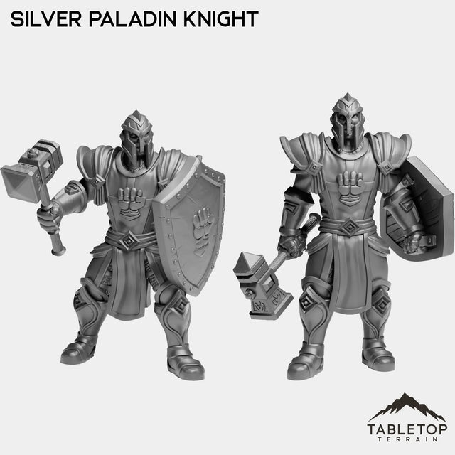 Tabletop Terrain Miniature Full Set Silver Paladin Knight