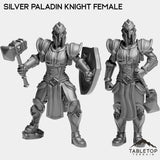Tabletop Terrain Miniature Full Set Silver Paladin Knight Female