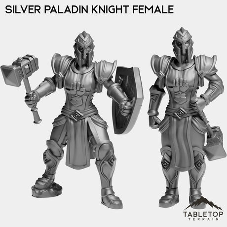 Tabletop Terrain Miniature Full Set Silver Paladin Knight Female