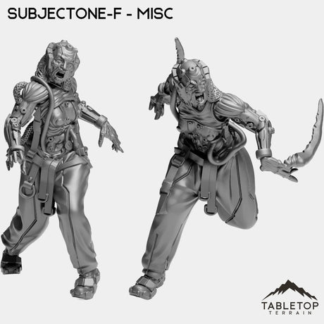 Tabletop Terrain Miniature Full Set SubjectONE-F - MISC