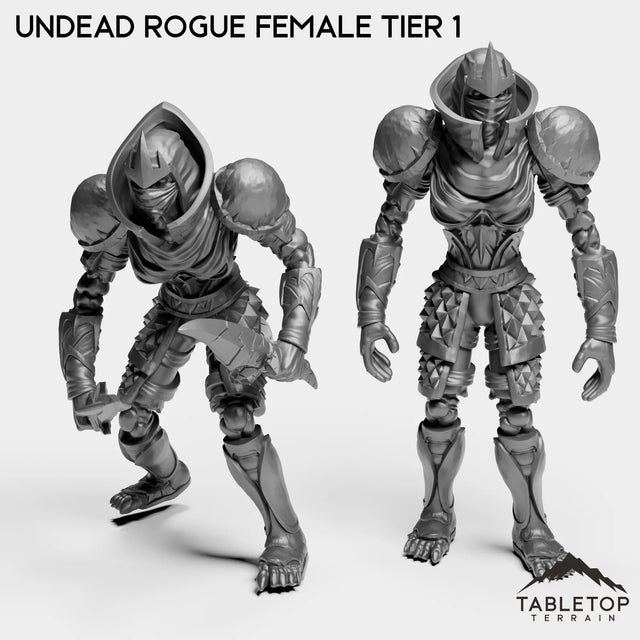 Tabletop Terrain Miniature Full Set Undead Rogue Female Tier 1