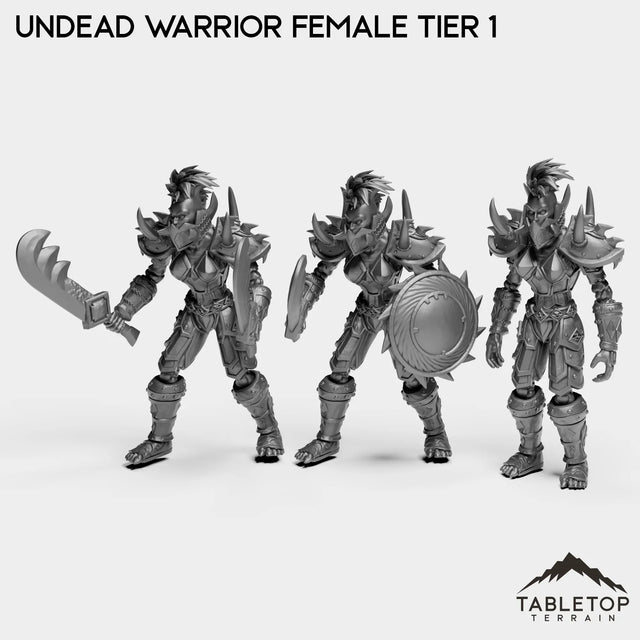 Tabletop Terrain Miniature Full Set Undead Warrior Female Tier 1