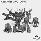 Tabletop Terrain Miniature Full Set Werewolf Druid Forms