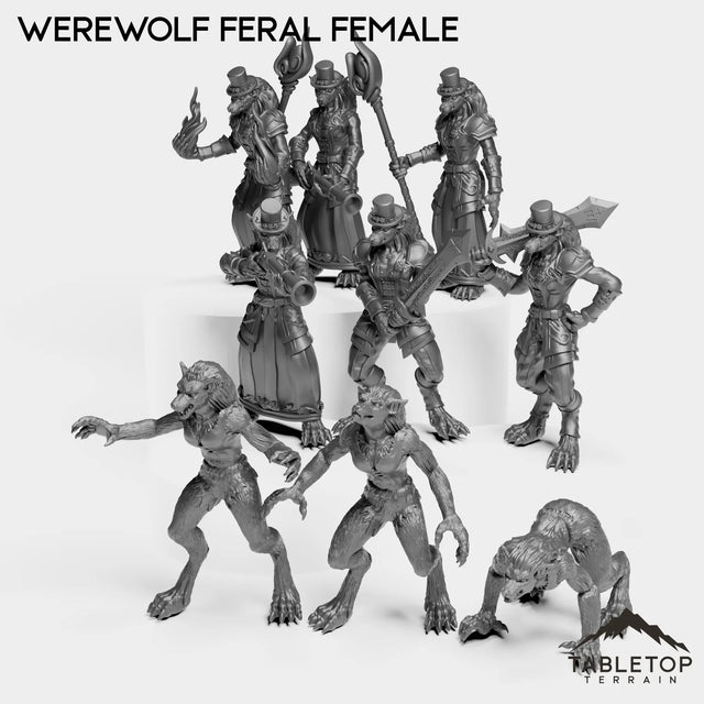 Tabletop Terrain Miniature Full Set Werewolf Feral Female