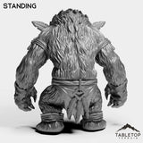 Tabletop Terrain Miniature Furbolg Feral