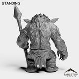 Tabletop Terrain Miniature Furbolg With Spear