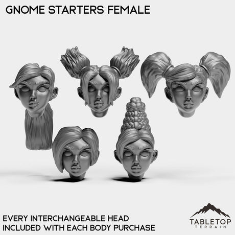 Tabletop Terrain Miniature Gnome Starters Female