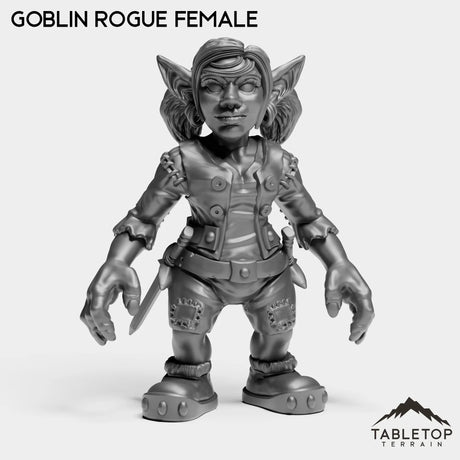 Tabletop Terrain Miniature Goblin Rogue Female Goblin Starters Female