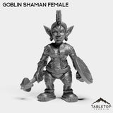 Tabletop Terrain Miniature Goblin Shaman Female Goblin Starters Female