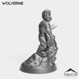 Tabletop Terrain Miniature Goblin Wolverine