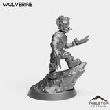 Tabletop Terrain Miniature Goblin Wolverine