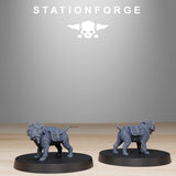 Tabletop Terrain Miniature GrimGuard Skulldart Trappers