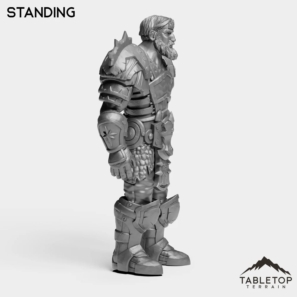 Tabletop Terrain Miniature Highland Warlord