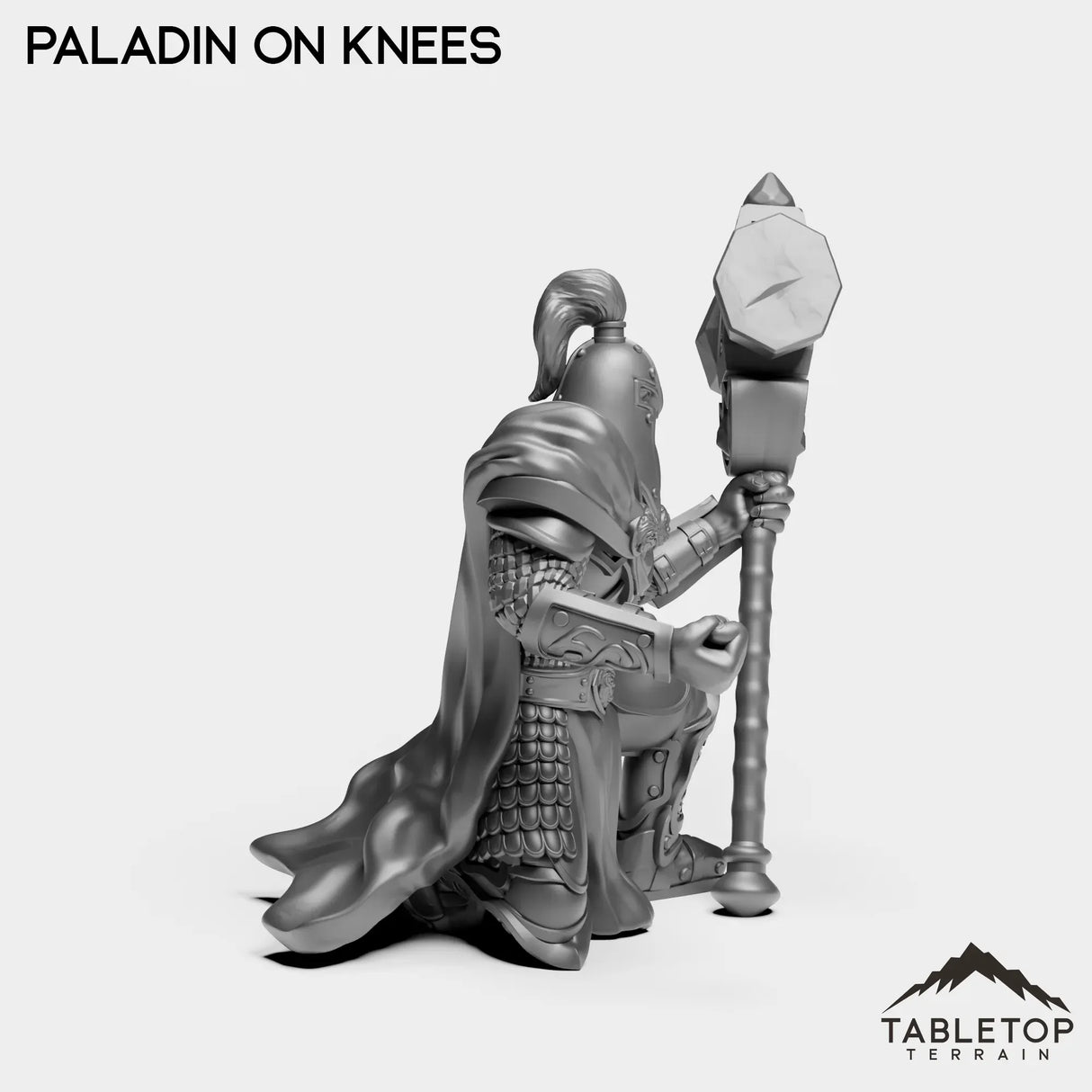 Tabletop Terrain Miniature Human Paladin