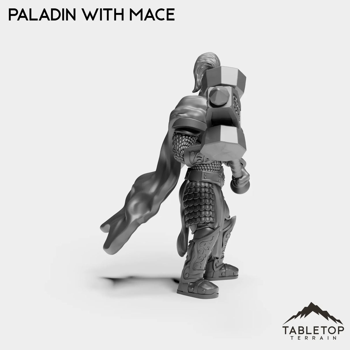 Tabletop Terrain Miniature Human Paladin