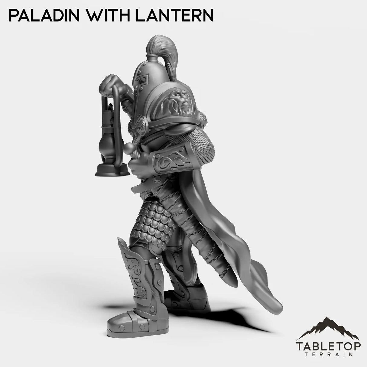 Tabletop Terrain Miniature Human Paladin