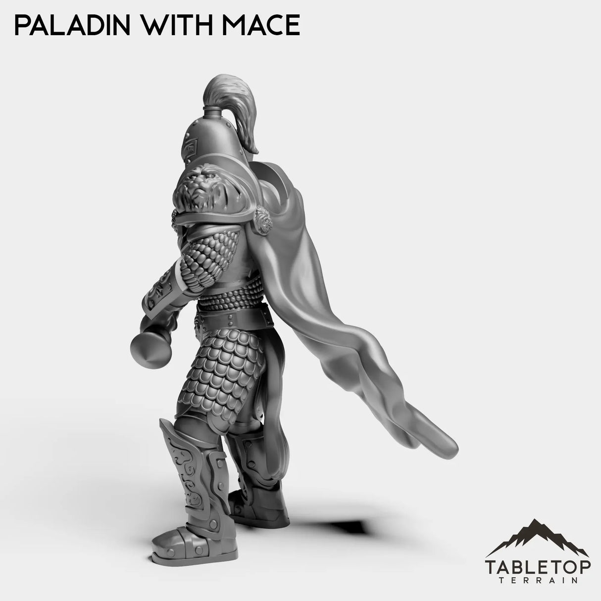 Tabletop Terrain Miniature Human Paladin