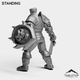 Tabletop Terrain Miniature Knight Understudy