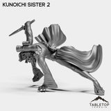Tabletop Terrain Miniature Kunoichi Sister 2 Kunoichi Sisters - Street Samurai