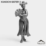 Tabletop Terrain Miniature Kunoichi Sister 3 Kunoichi Sisters - Street Samurai