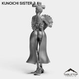 Tabletop Terrain Miniature Kunoichi Sisters - Street Samurai