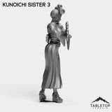 Tabletop Terrain Miniature Kunoichi Sisters - Street Samurai