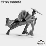 Tabletop Terrain Miniature Kunoichi Sisters - Street Samurai