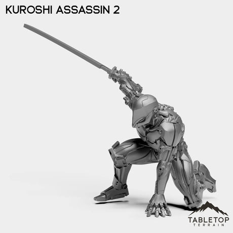 Tabletop Terrain Miniature Kuroshi Assassin 2 Kuroshi Assassin - Kuroshi Assassin