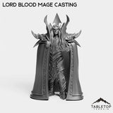 Tabletop Terrain Miniature Lord Blood Mage Casting Lord Blood Mage