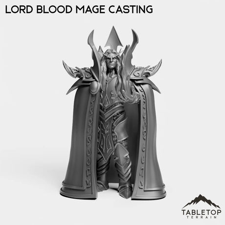 Tabletop Terrain Miniature Lord Blood Mage Casting Lord Blood Mage