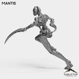 Tabletop Terrain Miniature Mantis - Bounty Hunters