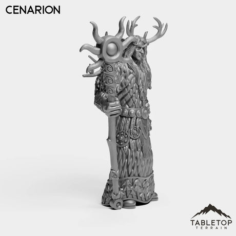 Tabletop Terrain Miniature Night Cenarion