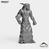 Tabletop Terrain Miniature Night Priest Starter