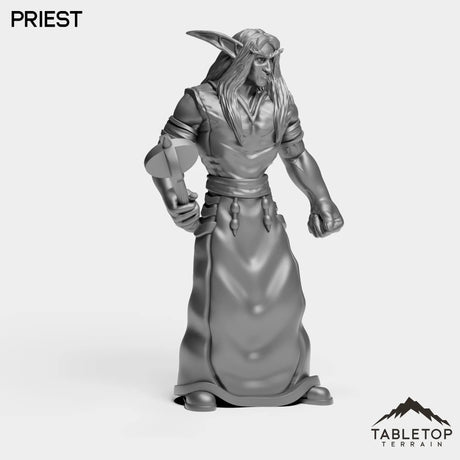 Tabletop Terrain Miniature Night Priest Starter